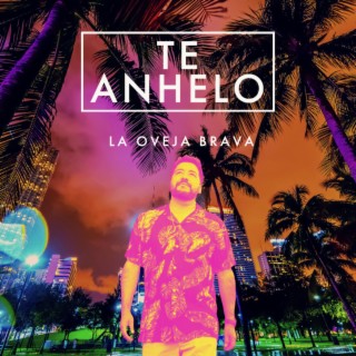 Te Anhelo lyrics | Boomplay Music