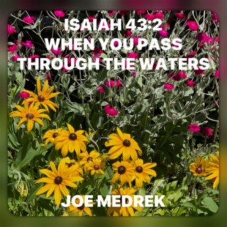 Isaiah 43:2 When You Pass Through The Waters