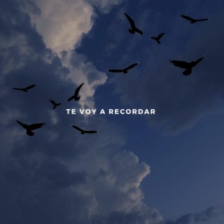 Te Voy A Recordar lyrics | Boomplay Music