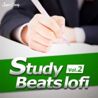 Study Beats lofi Vol.2
