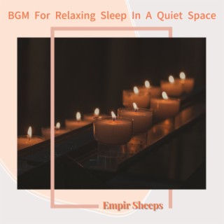 Bgm for Relaxing Sleep in a Quiet Space