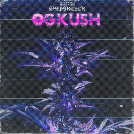 OG KUSH (PROD. BY $MOKILLAH) | Boomplay Music