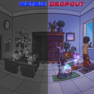 Matrix Dropout