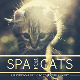 Spa for Cats - Relaxing Cat Music to Cope with Anxiety