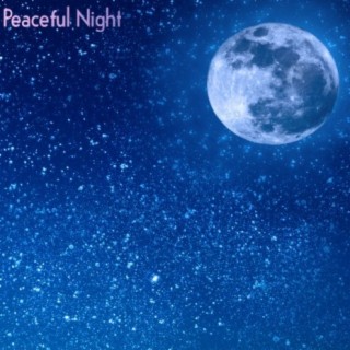 Peaceful Night