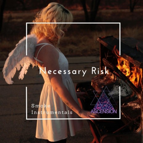 Necessary Risk | Boomplay Music