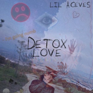 Detox Love lyrics | Boomplay Music