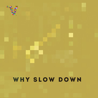 Why Slow Down