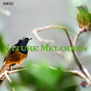 Nature Melodies