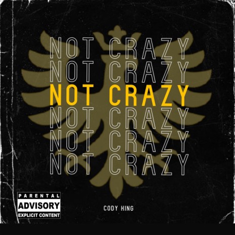 Not Crazy | Boomplay Music