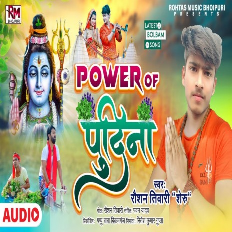 POWER OF PUDINA (Bhojpuri Song)