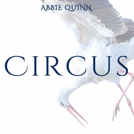 Circus (Instrumental)