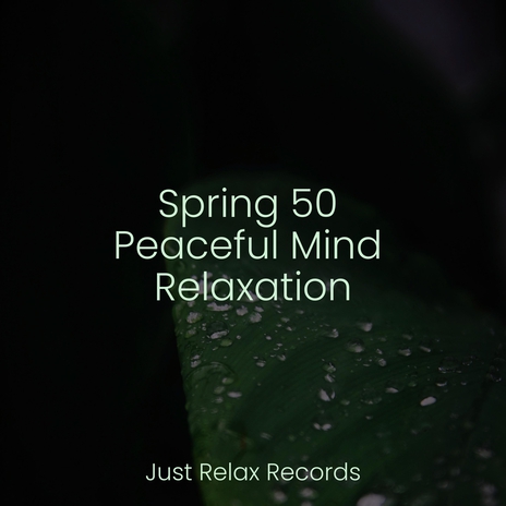 Transcendent Stillness ft. Relaxation & Meditación Guiada | Boomplay Music