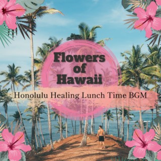 Honolulu Healing Lunch Time Bgm