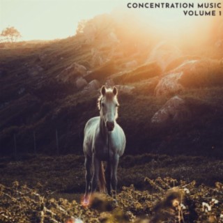 Concentration Music, Vol. 1