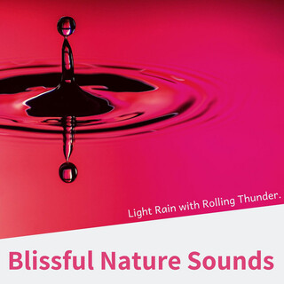 Blissful Nature Sounds: Light Rain with Rolling Thunder