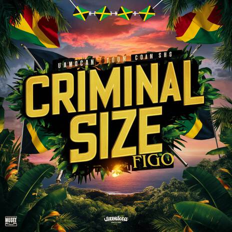 CRIMINAL SIZE | Boomplay Music