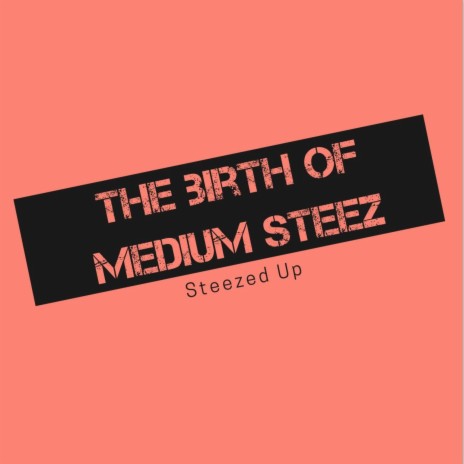 STEEZED UP | Boomplay Music