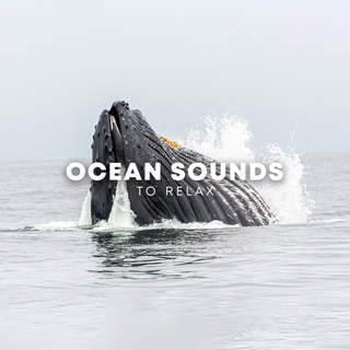 Ocean Sounds To Relax