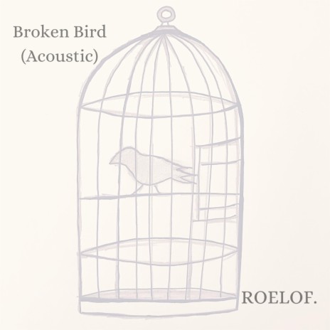 Broken Bird (Acoustic) | Boomplay Music