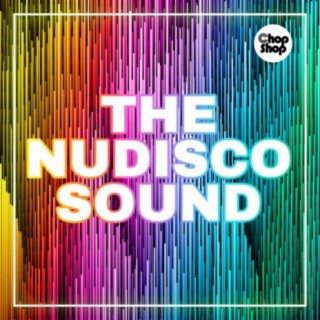 The Nudisco Sound