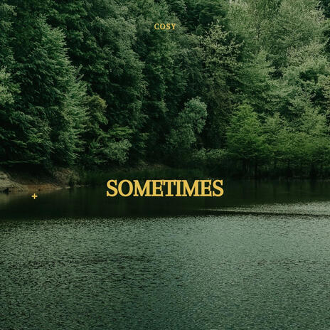 SOMETIMES | Boomplay Music