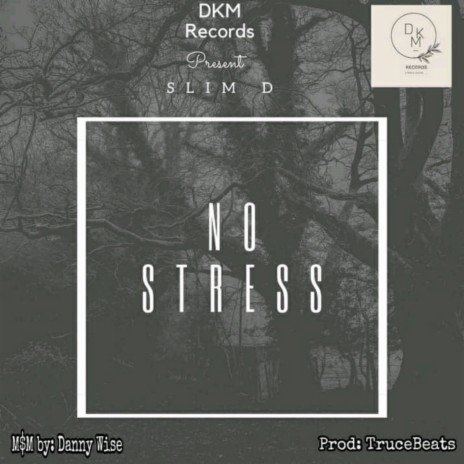 No Stress | Boomplay Music