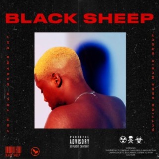 Black Sheep