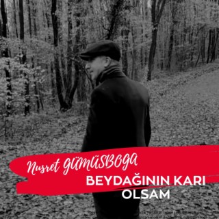 Beydağının Karı Olsam lyrics | Boomplay Music