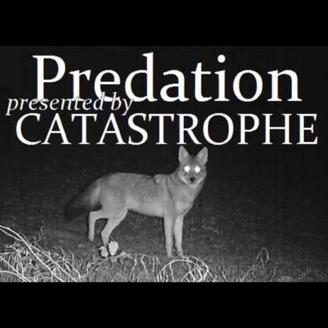 Predation | Boomplay Music