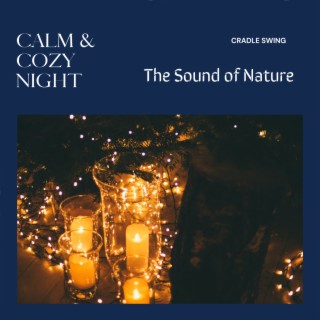 Calm & Cozy Night - The Sound of Nature