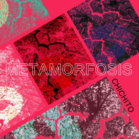 Metamorfosis | Boomplay Music