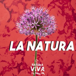 Trancemission Natura Viva Label