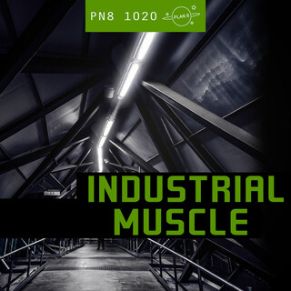 Industrial Muscle: Music for the Corporate World