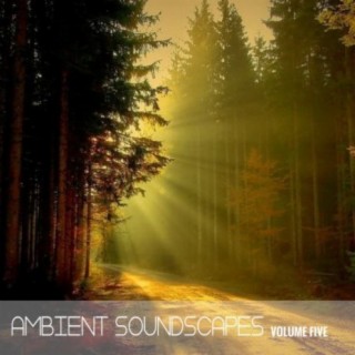 Ambient SoundScapes, Vol. 5