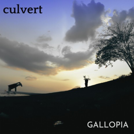 culvert I ll Take My Chances MP3 Download Lyrics Boomplay