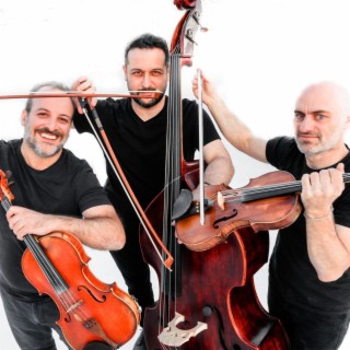 Frog String Trio Live at Museum (MGFMIFACE)