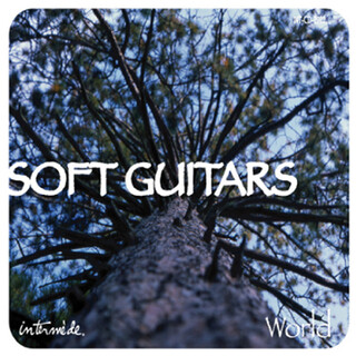 Soft Guitars: World