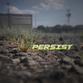 Persist