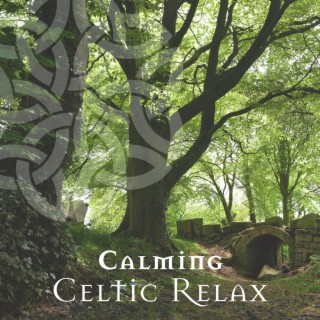 Calming Celtic Relax: Serenity Sounds of Nature, Celtic Meditation & Relaxation