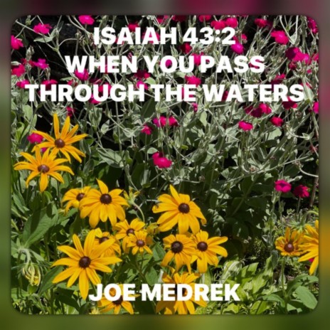 Isaiah 43:2 When You Pass Through The Waters