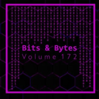Bits & Bytes, Vol. 172