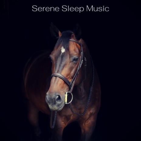 Light ft. Deep Sleep Meditation & Deep Sleep Music Experience