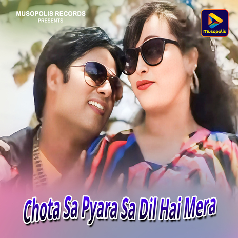 Chota Sa Pyara Sa Dil Hai Mera | Boomplay Music