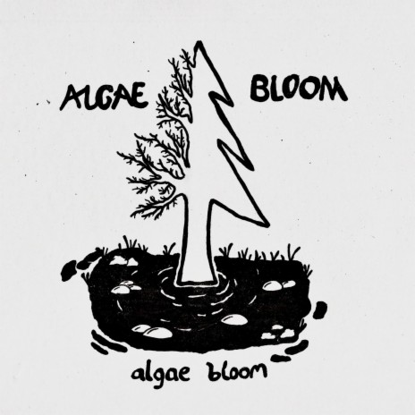 Algae Bloom | Boomplay Music