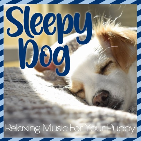 Energy Flow ft. Relaxmydog & Dog Music Dreams | Boomplay Music