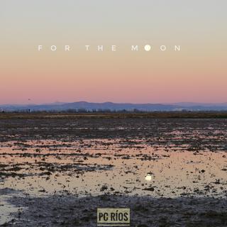 For The Moon