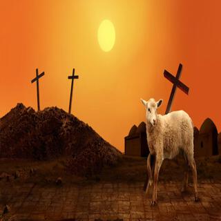 Lamb Of God