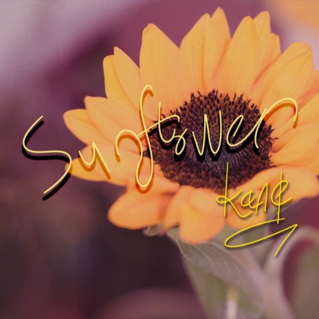 Sunflower | Boomplay Music