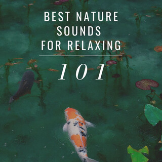 101 Best Nature Sounds for Relaxing: Zen Spirit Japanese Garden Ambience